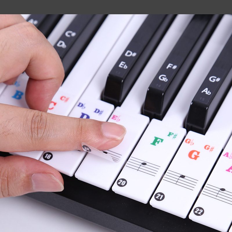 Transparent Piano Keyboard Sti - Audio Music Notes ulasan dan harga